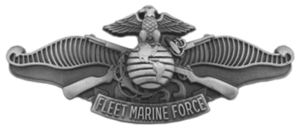 Cropped Pin Fmf1png Fleet Marine Force Warfare Qualification